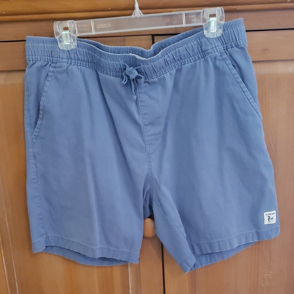 Men's Blue Flat Front Shorts